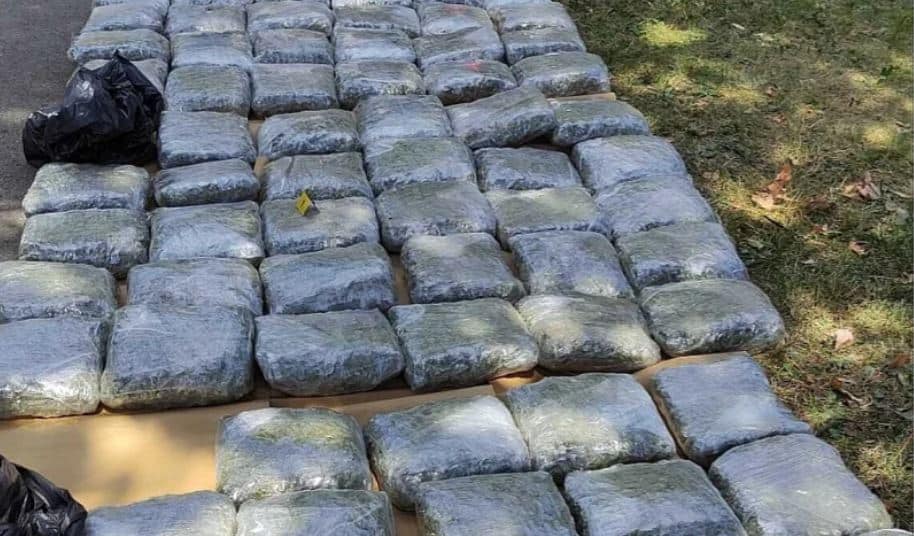 sluzbenici fupa u sarajevu proveli akciju u kojoj su zaplijenili 73 kilograma marijhuane uhapsena jedna osoba