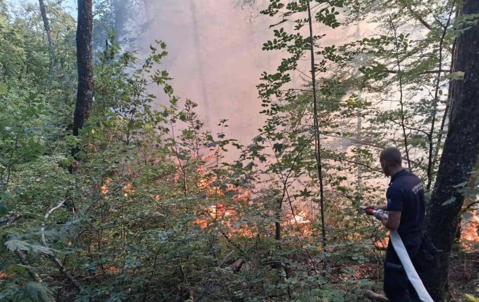 vatrogasci sirom tuzlanskog kantona gasili pozare koji su zahvatili sume i nisko rastinje