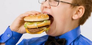 nezdrava hrana mozak djeca istrazivanja