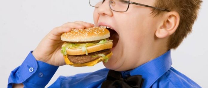 nezdrava hrana mozak djeca istrazivanja