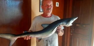 ulovio morskog psa susreo se sa velikim morskim psom ribar hrvatska labin istra