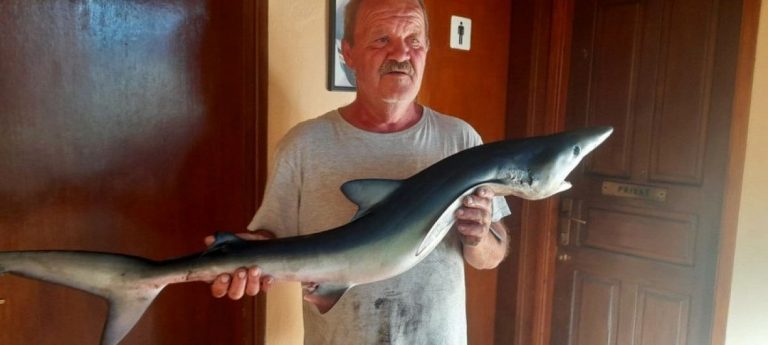 ulovio morskog psa susreo se sa velikim morskim psom ribar hrvatska labin istra