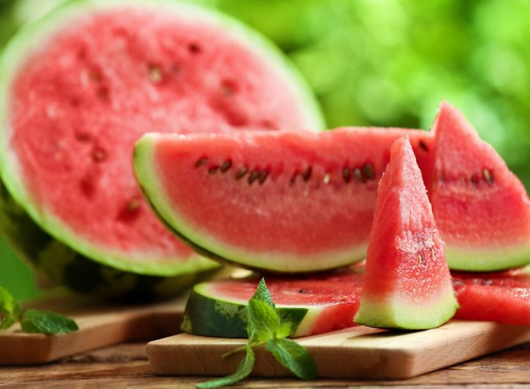 poljoprivrednici fbih pisali vjecu ministara zabrana uvoza lubenice olaksanje izvoza kornisona