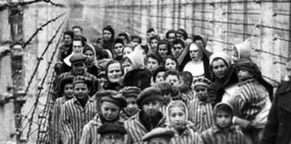 medjunarodni dan sjecanja na zrtve holokausta pogubljenje jevreja drugi svjetski rat
