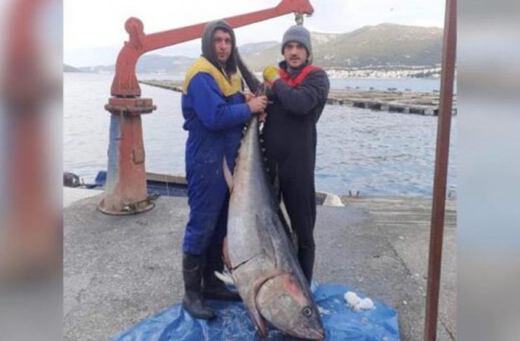 tri mjestanina neuma na stap iz mora izvukli tunu tesku 95 kg