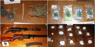 mup tk uhapsen diler proizvodio marihuanu pretresom pronadjeno i oruzje tuzla