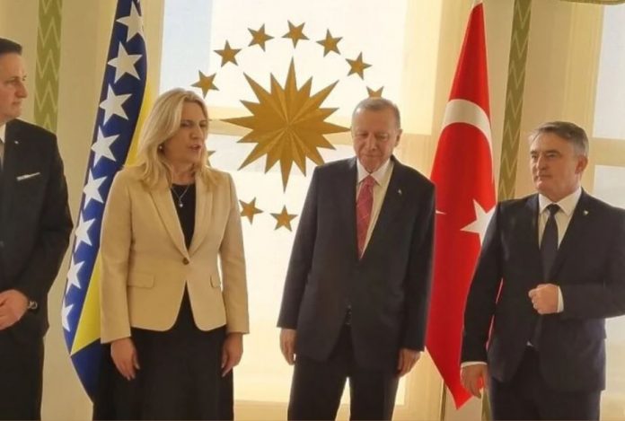 clanovi predsjednistva bih radni rucak erdogan turska
