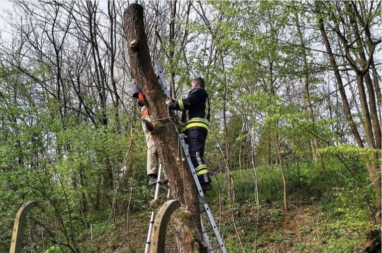 neobicna situacija muskarac se zaglavio na drvetu spasavali ga vatrogasci