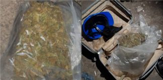 zapljenjenoi skoro dva kilograma marihuane pretresi banja luka uhapsene dvije osobe