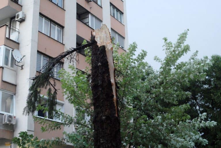 nevrijeme, ilustracija