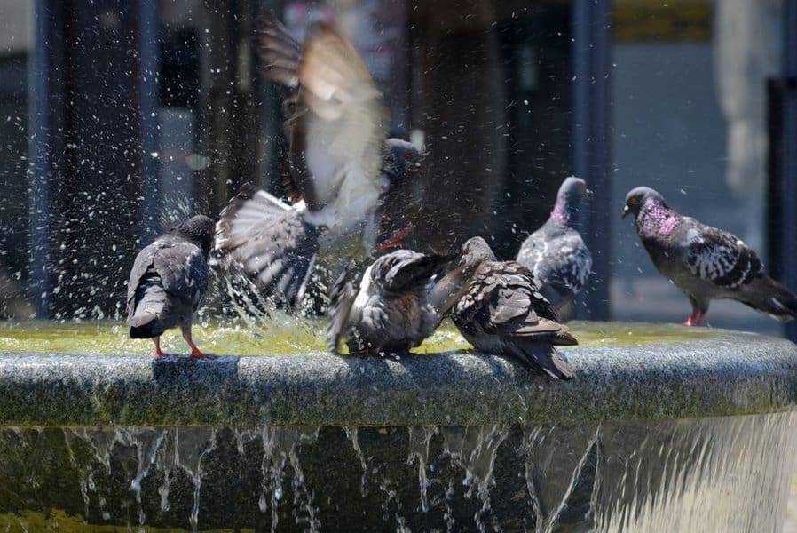 danas se u bih ocekuje suncano i toplo vrijeme temperature ce na jugu zemlje ici i do 37 stepeni celzijusa