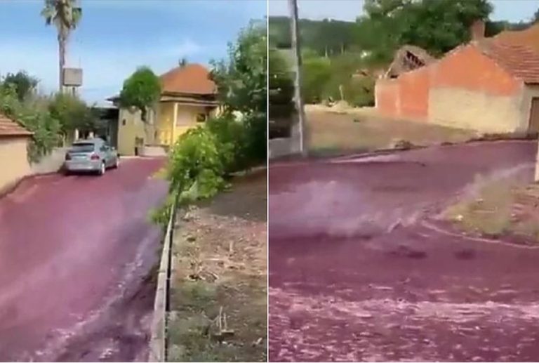 neobicna poplava pukao rezervoar sa vinom dva miliona litara teklo ulicama sela u portugalu