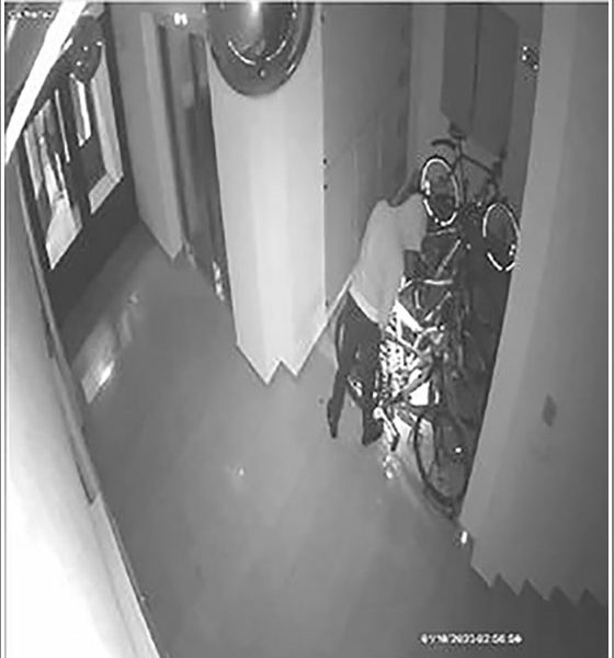 Bicikl, kradja, lopov