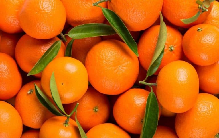 mandarine su omiljeno voce koje konzumiramo zimi bogate c vitaminim ali pretjerano konzumiranje steti jetri