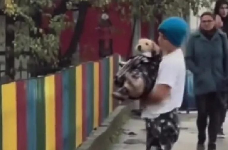 djecak u gornjem milanovcu u srbiji skinuo jaknu i umotao psa da ga ugrije