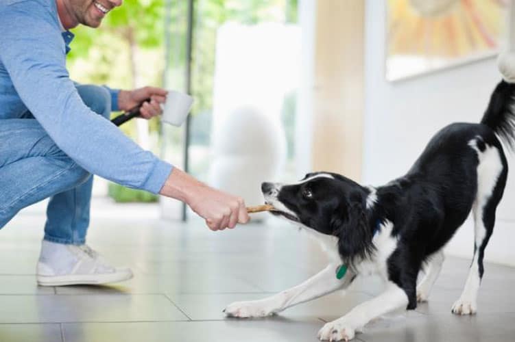 igra sa psima pozitivno utice na zdravlje covjeka