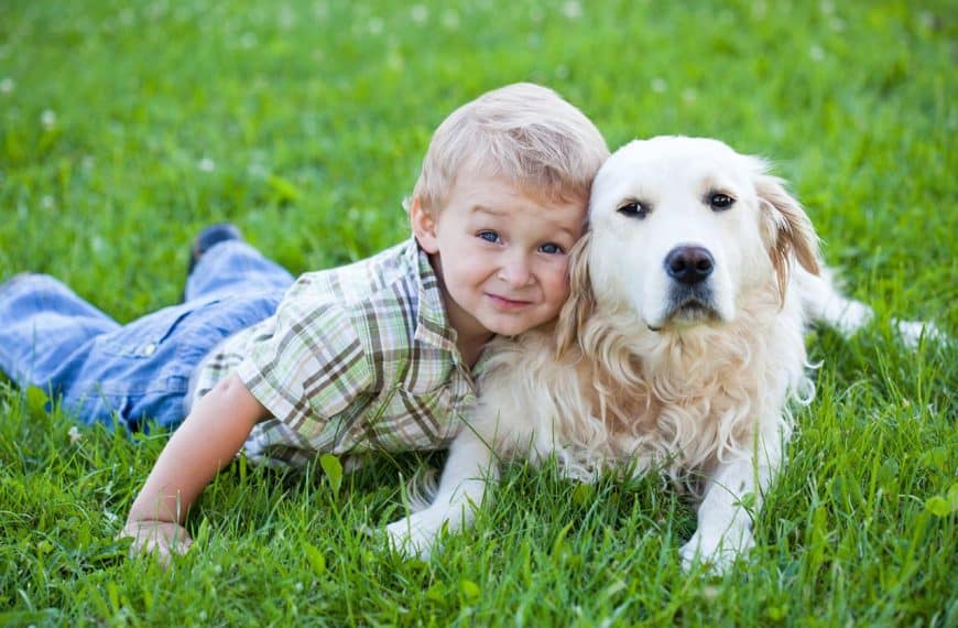 Zašto je dobro da djeca odrastaju sa psima?
