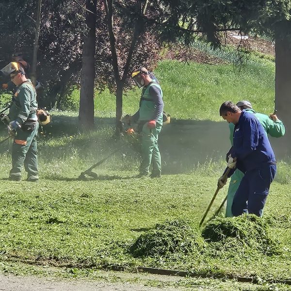 Objektivom: Kosidba trave u parkovima ‘po zvizdanu’ (Foto)