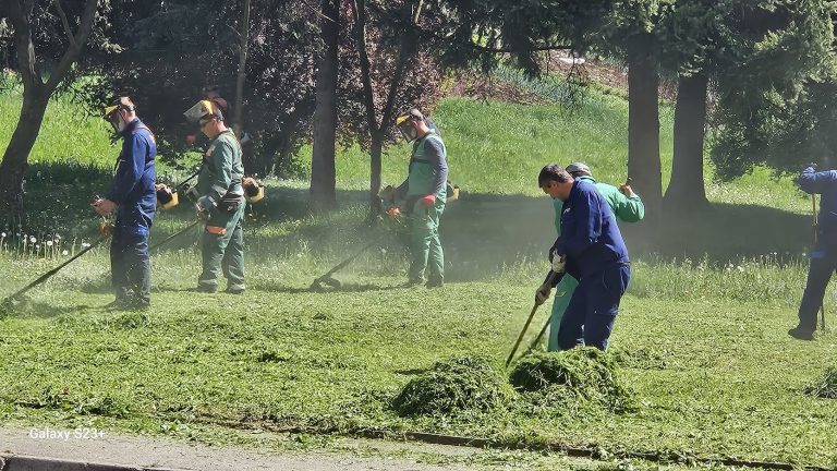 Kosenje trave u parkovima, Tuzla