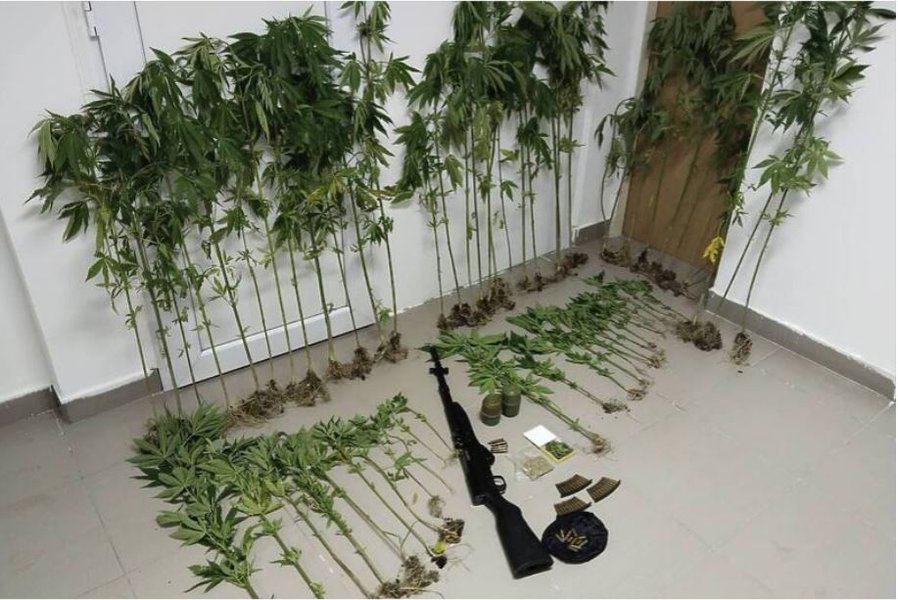 u policijskoj akciji plantaza 2024 kod laktasa pronadjena laboratorija za uzgoj marihuane i oruzje