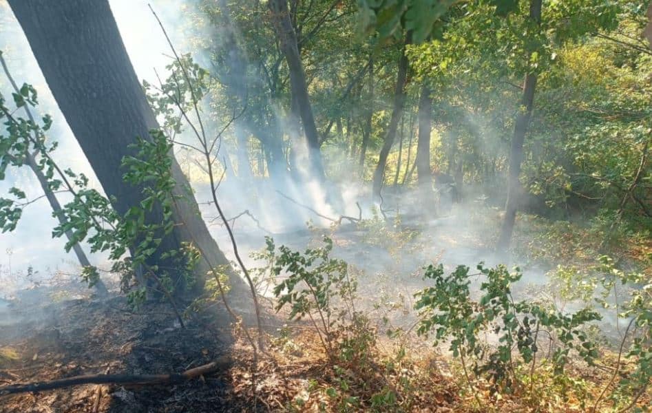 vatrogasci su u posljednja 24 sata na podrucju tk gasili 7 pozara