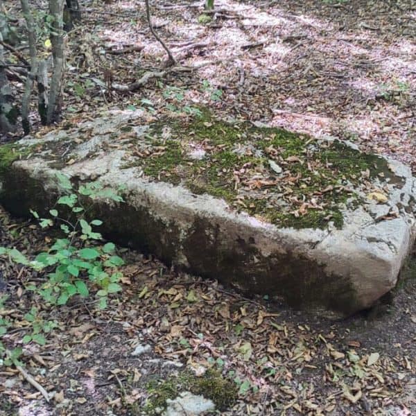 na tri lokacije u opstini rogatica pronadjene nove nekropole sa steccima