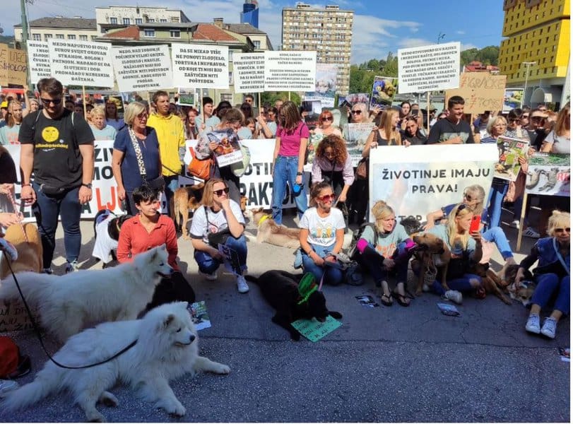 u sarajevu ispred zemaljskog muzeja odrzani protesti povodom mucki ubijenog psa u istocnom ssrajevu