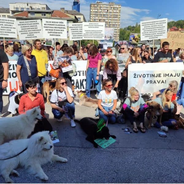 u sarajevu ispred zemaljskog muzeja odrzani protesti povodom mucki ubijenog psa u istocnom ssrajevu