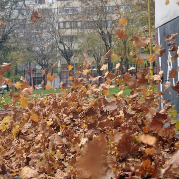 Vrtlog od lišća koje proizvodi jak vjetar (Foto/Video)