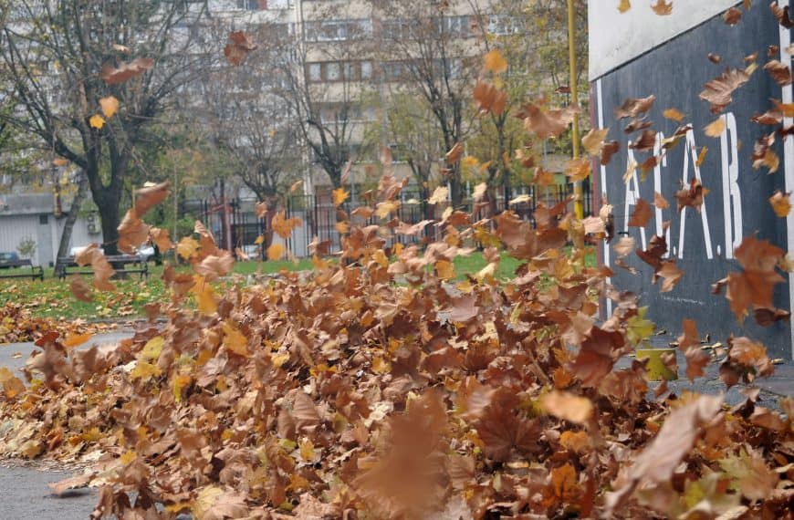 Vrtlog od lišća koje proizvodi jak vjetar (Foto/Video)