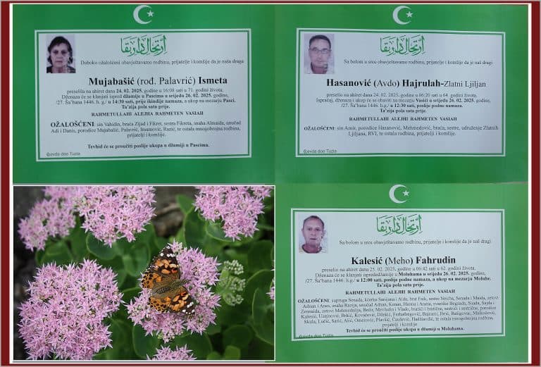 iN MEMORIAM, zAJEDNICKA