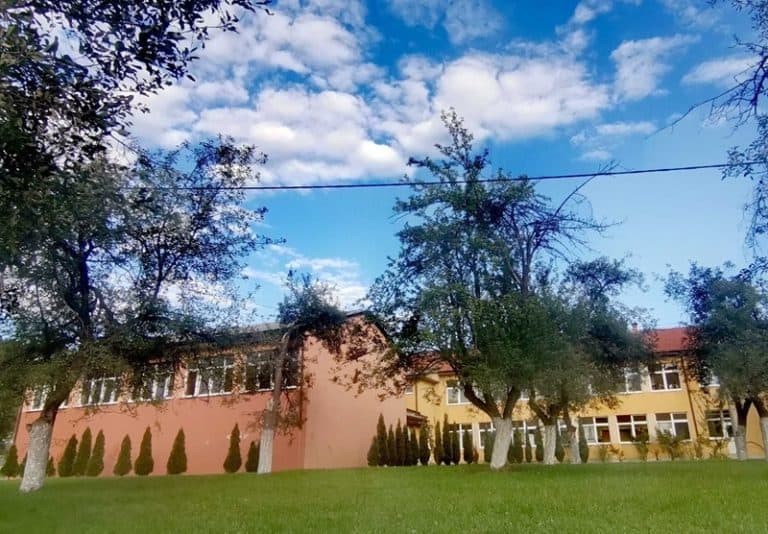 danas u osnovnoj skoli u slavinovicima napadnut ucenik