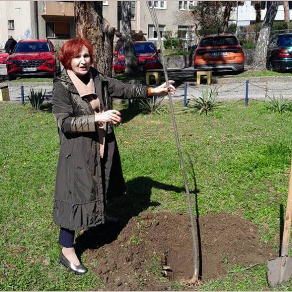 Mirjana Antic, lipa, Dom mladih