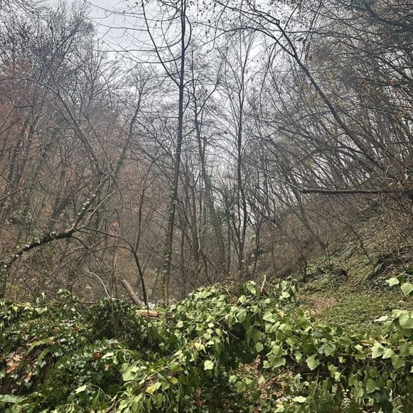 PD Konjuh, posumljavanje, akcija