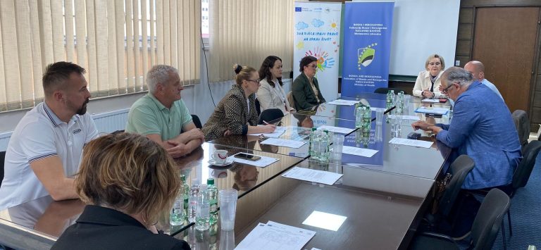 vakcinacija, sastanak, tk