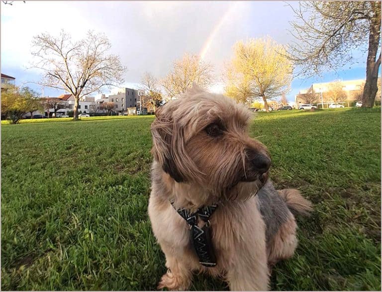 Vrijeme, Zizi, ilustracija