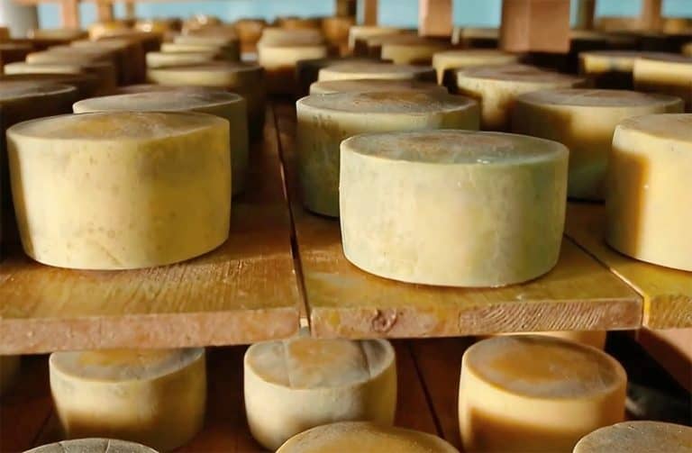 Zasticeni proizvodi, livanjski sir, Agencija