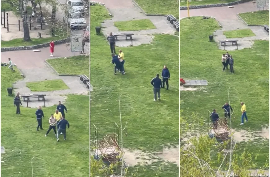 u poslijepodnevnim satima u tuzlanskom naselju slatina izbila je tuca izmedju vise muskaraca koji su se razbjezali kada je stigla policijska patrola