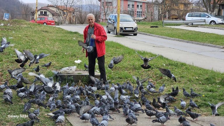 Tuzla, Sjenjak, Fikret Hukic Dijo, golubovi