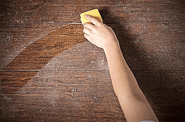 Prasina, ilustracija, bakterije