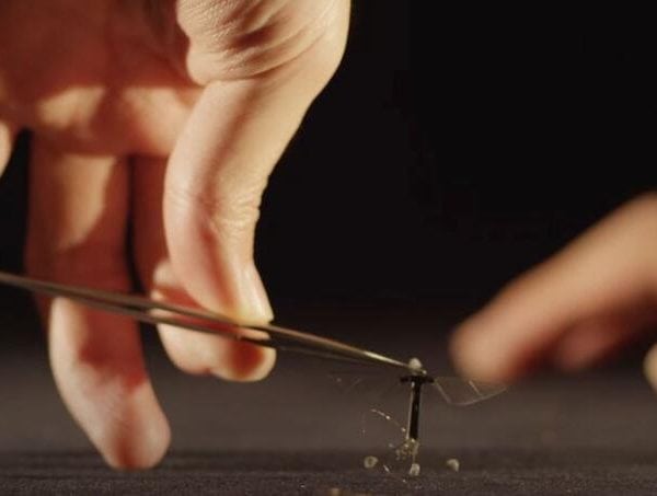 dron, kina, komarac, spijuaza