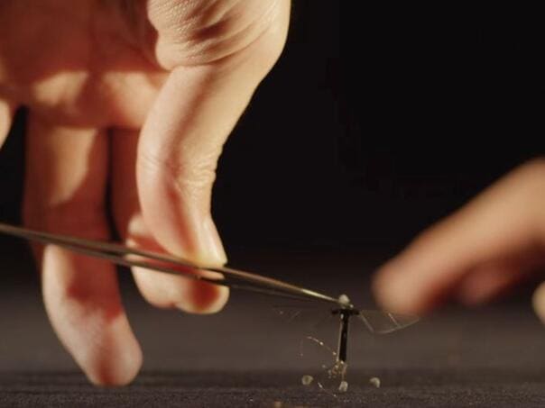 dron, kina, komarac, spijuaza