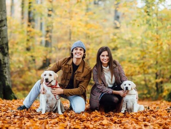 kucni ljubimci, EU, zastita