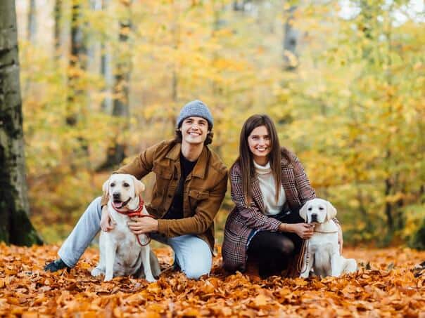 kucni ljubimci, EU, zastita