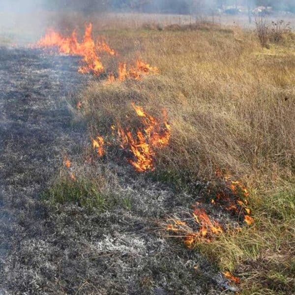 Civilna zaštita Tuzle upozorava: Strogo zabranjeno paljenje vatre na otvorenom