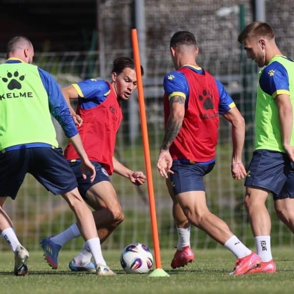 Zmajevi se danas okupljaju u Sarajevu: Bez Radeljića, priključuju se Barišić i Šarić