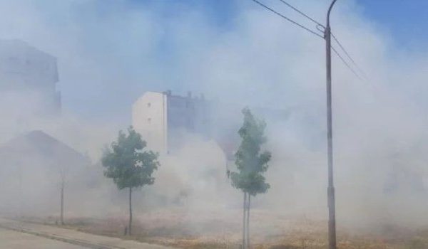 pozar, brcko, trava, srce