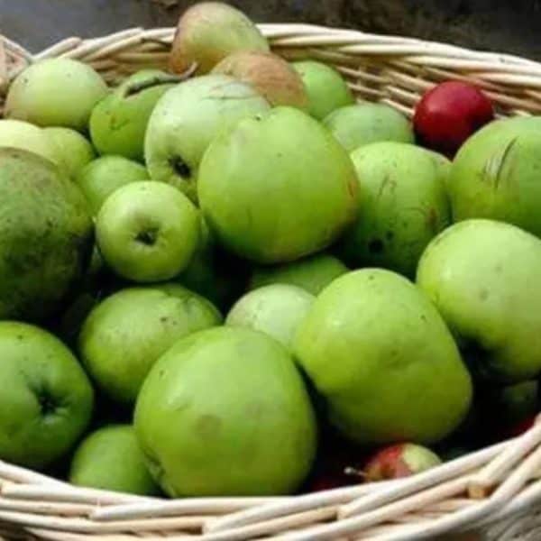 nezrele jabuke mozete iskoristiti na vise nacina