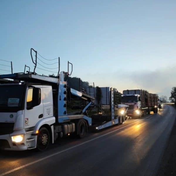 rano jutros nezadoviljni prijevoznici sa preko 600 kamiona blokirali su saobracaj i protok robe sirom bih