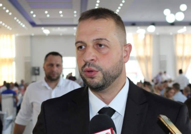 Želimir Nešković, SDS